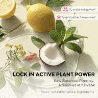 TYMO Purifying Shampoo Powder